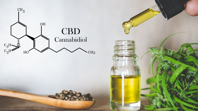 storing and preserving cbd oil
