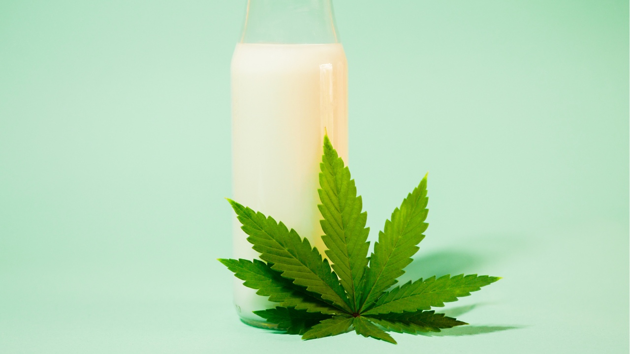 How Long Does CBD Stay in Breast Milk? Unveiling the Facts for Concerned Parents