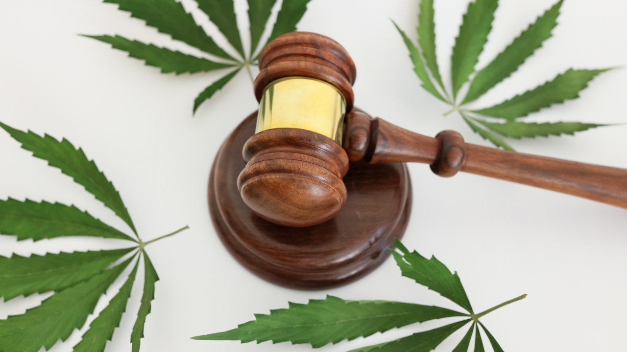 Is Weed Legal in DC? The Complete Guide to Marijuana Laws You Need
