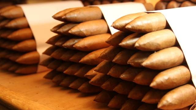 understanding cigar composition and storage needs