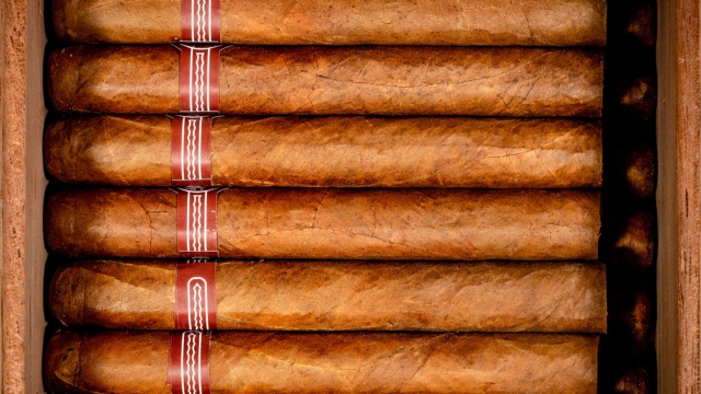 alternative cigar preservation methods without a humidor